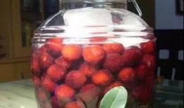 折梅煮酒最新瓜爆料,娱乐圈最新瓜料大曝光！